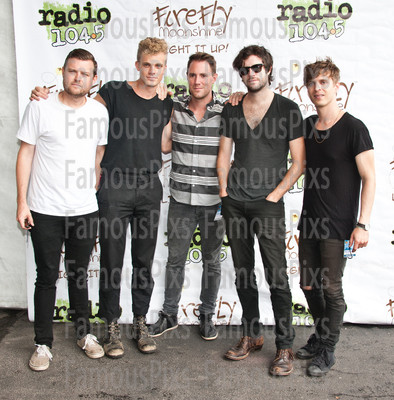 Wild Cub