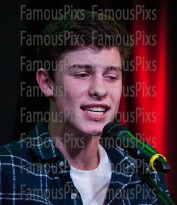 Shawn Mendes