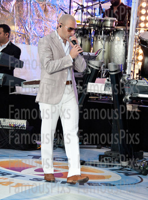 Pitbull
