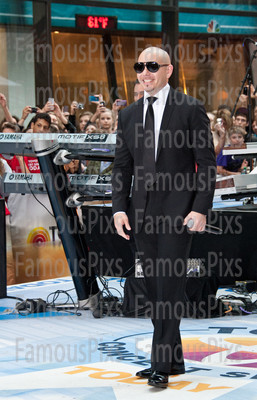 Pitbull