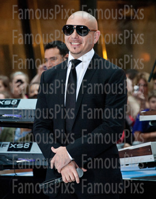 Pitbull
