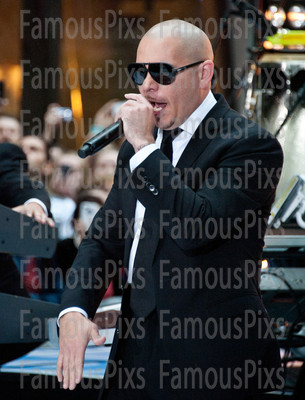 Pitbull