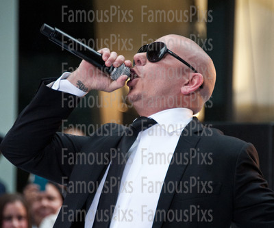 Pitbull