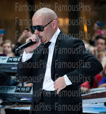 Pitbull