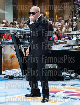 Pitbull