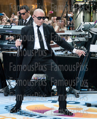Pitbull