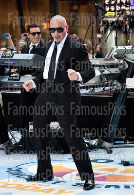 Pitbull