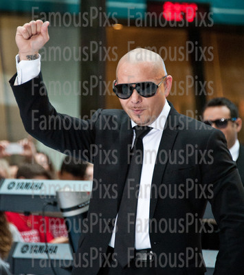 Pitbull