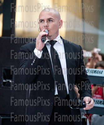Pitbull
