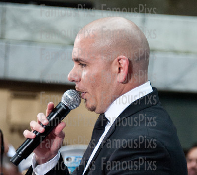 Pitbull