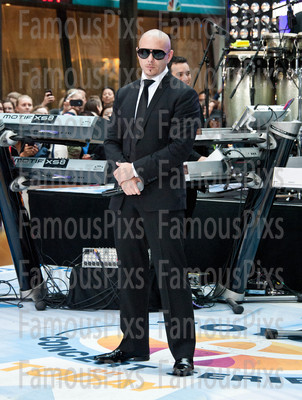 Pitbull