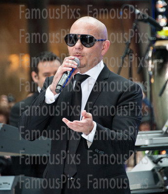 Pitbull