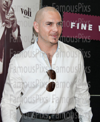 Pitbull
