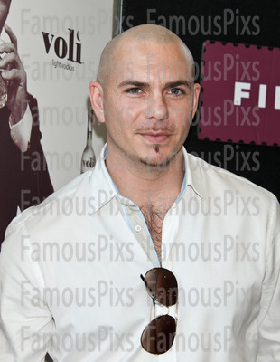 Pitbull