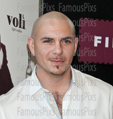 Pitbull