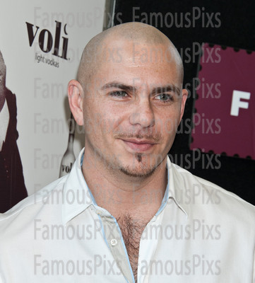 Pitbull