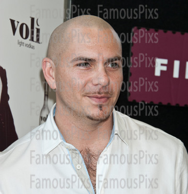Pitbull