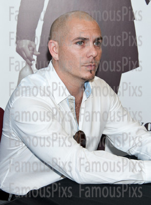 Pitbull