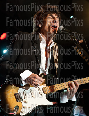 Ronnie Wood