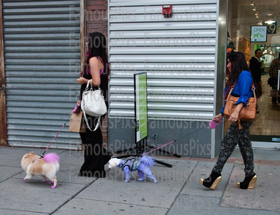Snooki and JWoww