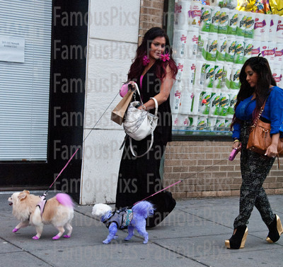 Snooki and JWoww