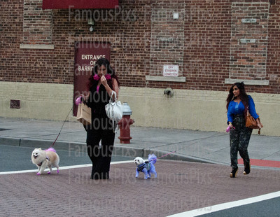 Snooki and JWoww