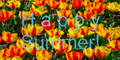 20260326_2490-1-hs