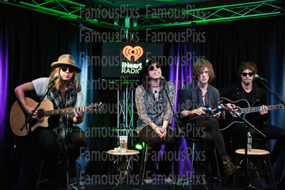The Struts