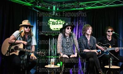 The Struts