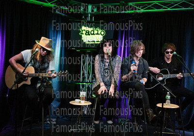 The Struts