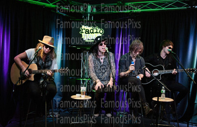 The Struts