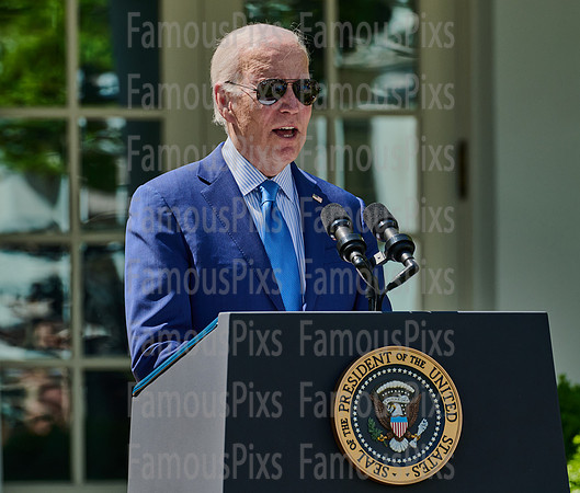 President Joe Biden