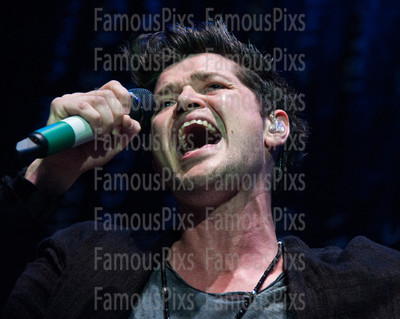 The Script