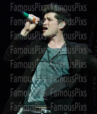 The Script