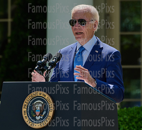 President Joe Biden