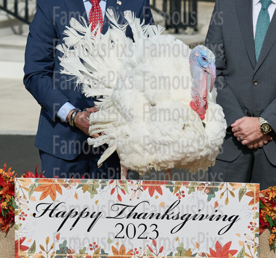 President Joe Biden