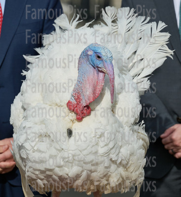 President Joe Biden