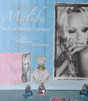 Pamela Anderson