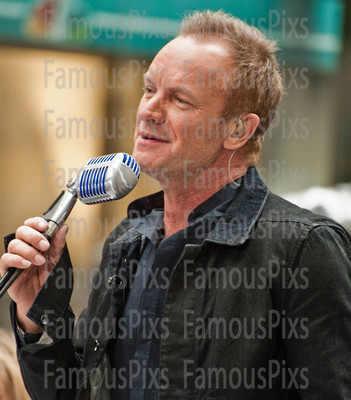 Sting