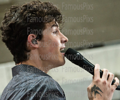 Shawn Mendes