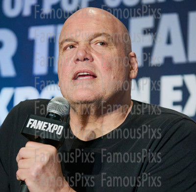Vincent D'Onofrio