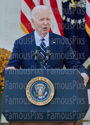 President Joe Biden