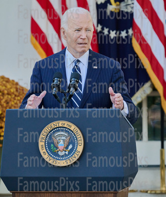 President Joe Biden