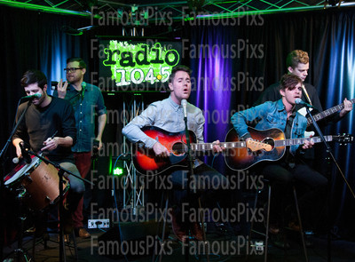 Wild Cub