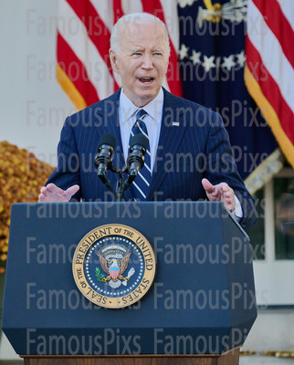 President Joe Biden