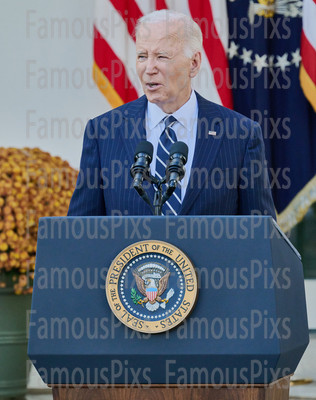 President Joe Biden