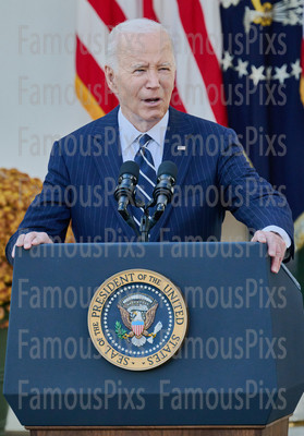 President Joe Biden