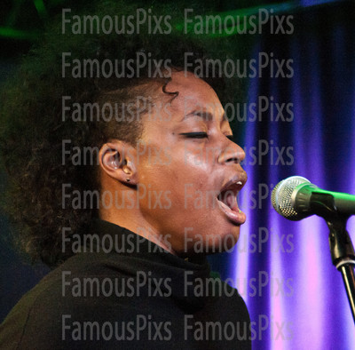 Fitz and the Tantrums