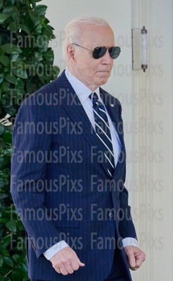 President Joe Biden