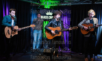 The Kooks